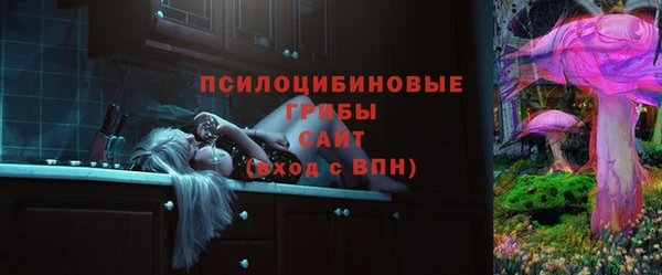 первитин Богородицк