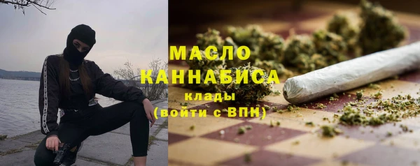 мдпв Богородск