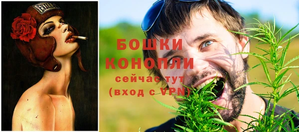 первитин Богородицк