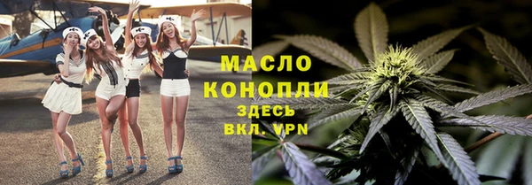 мдпв Богородск