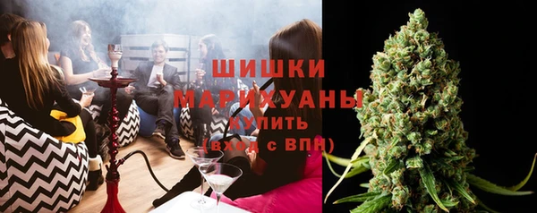 мдпв Богородск