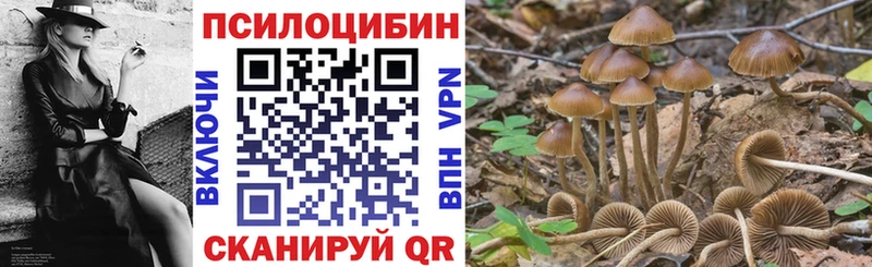 Галлюциногенные грибы Psilocybe  Константиновск 